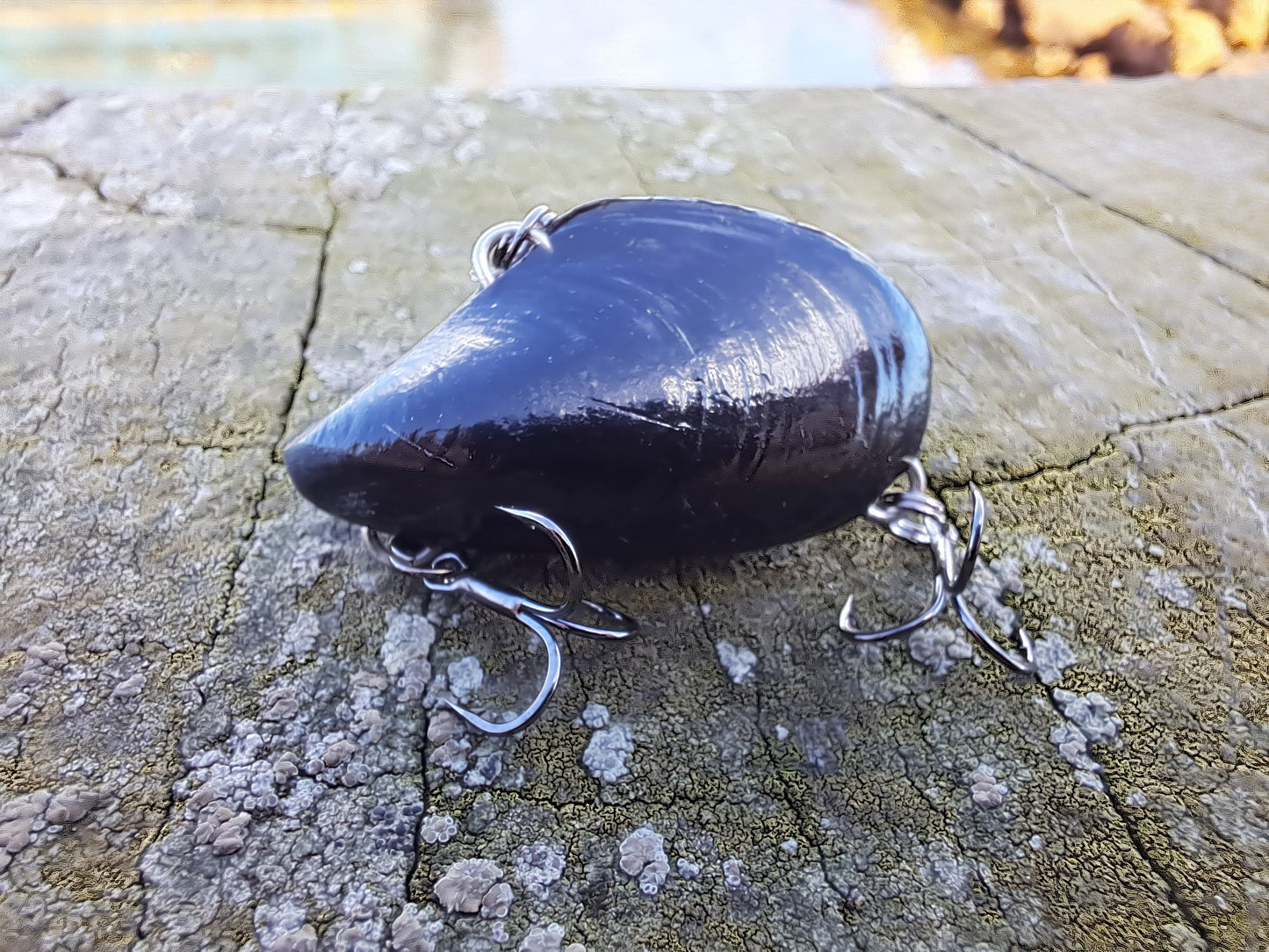 35mm Mussel Vibe 'Clickers'