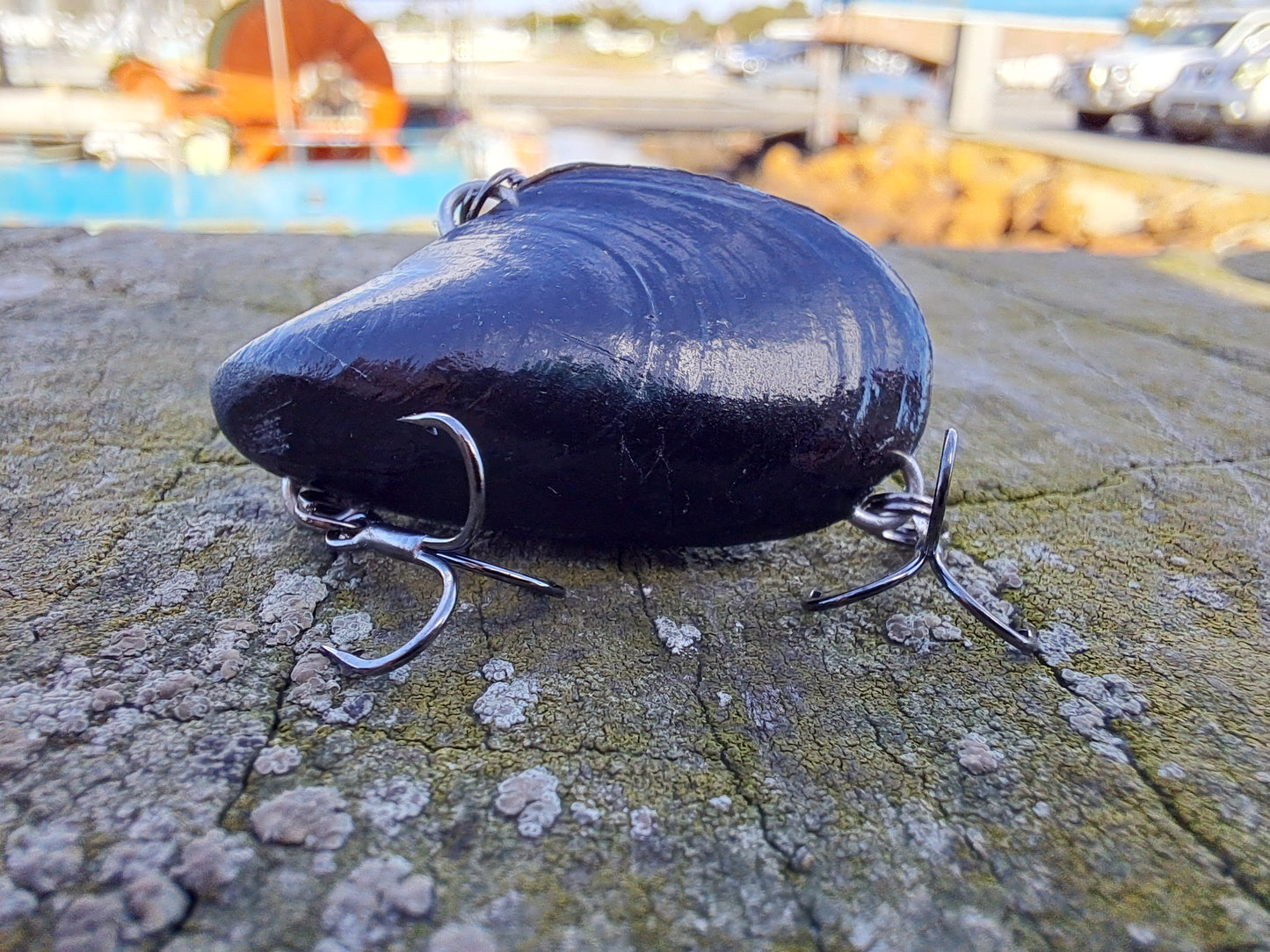 41mm 'Upgrader' 'Clicker' Mussel Vibe