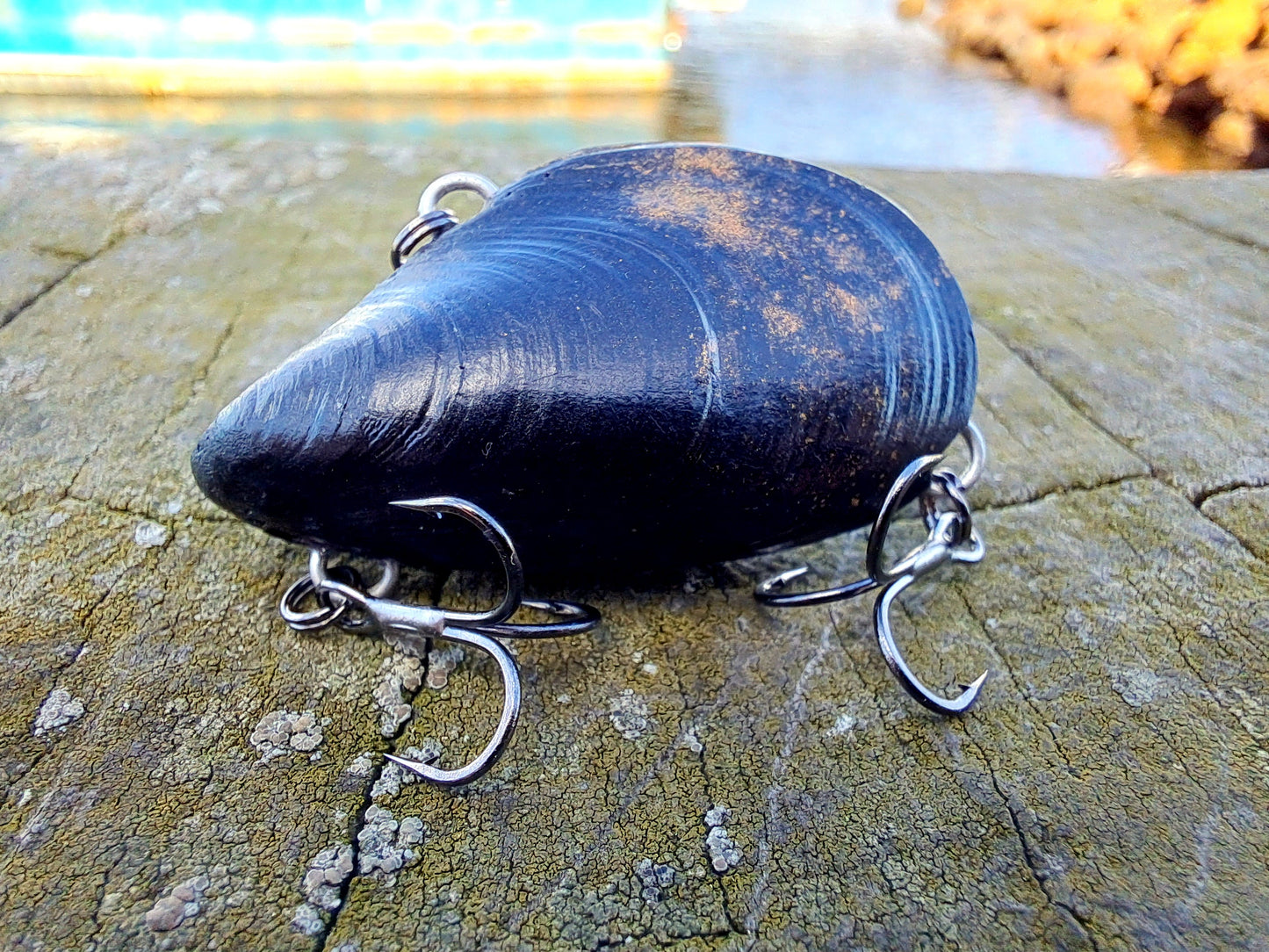 41mm 'Upgrader' 'Clicker' Mussel Vibe