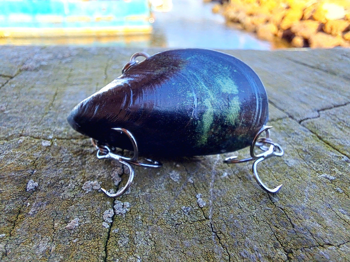 41mm 'Upgrader' 'Clicker' Mussel Vibe