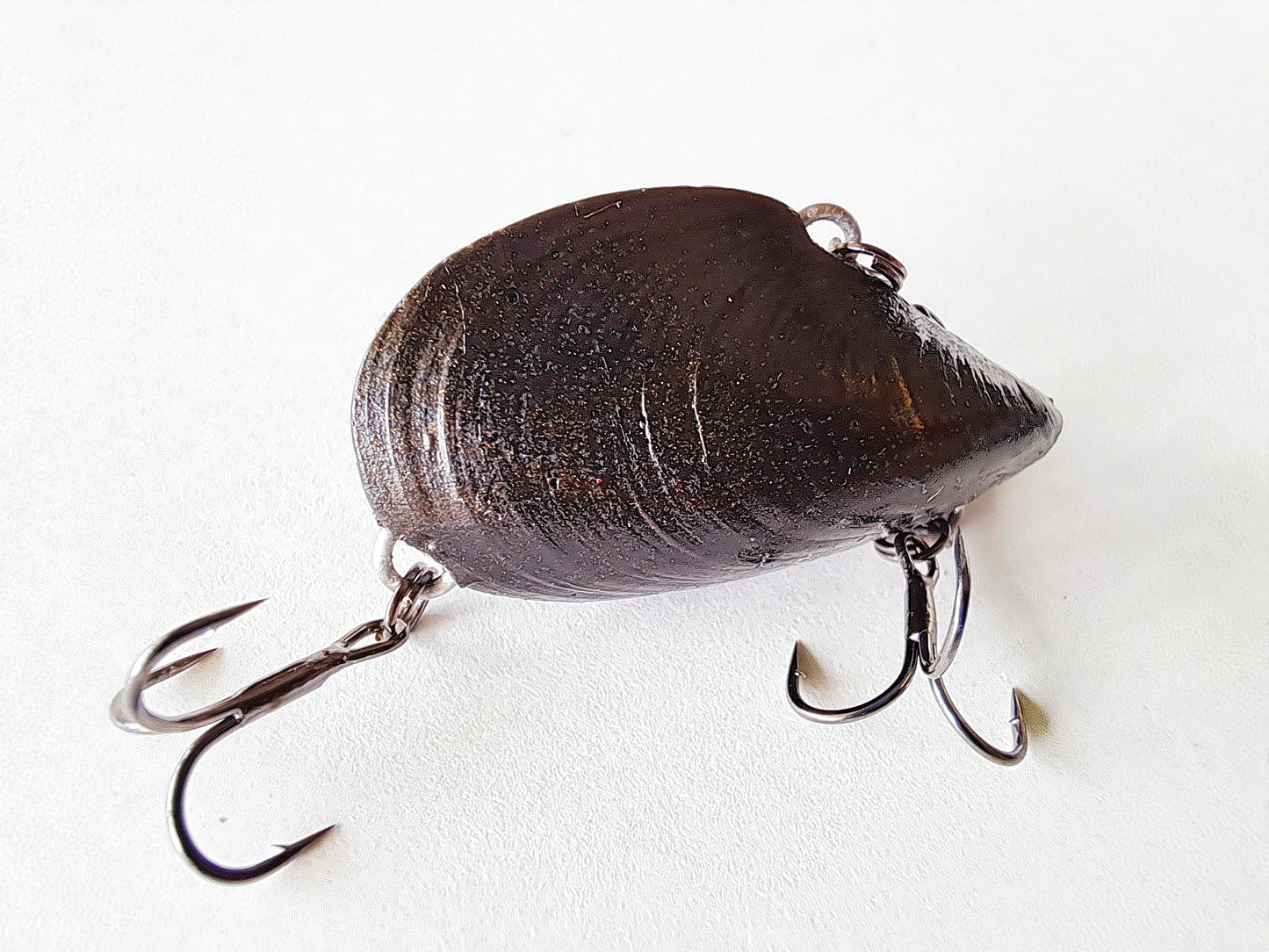 35mm Mussel Vibe Light