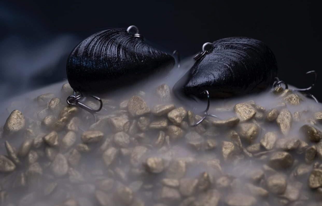 35mm Mussel Vibe Light